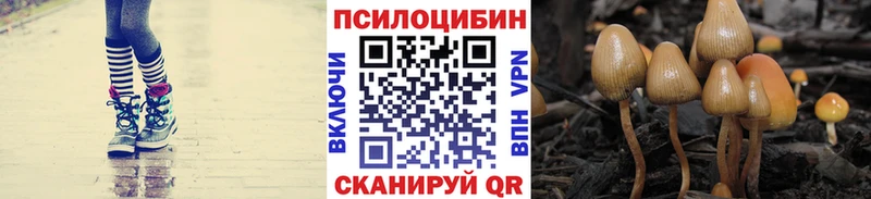 МЕГА вход  Михайловск  Галлюциногенные грибы мухоморы 